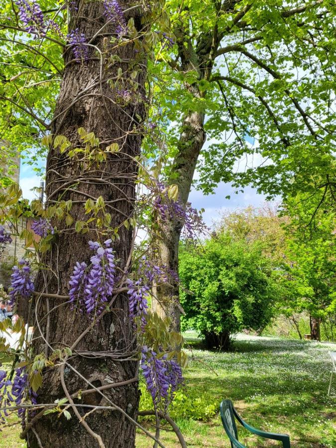 Appartamento Sambuco di Sopra Fratticciola Selvatica Esterno foto